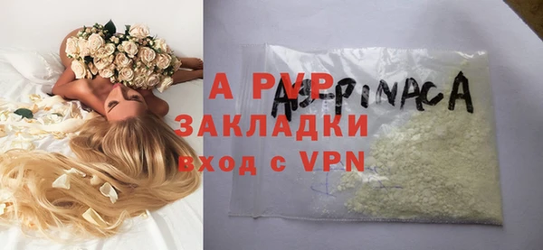 ГАЛЛЮЦИНОГЕННЫЕ ГРИБЫ Ладушкин
