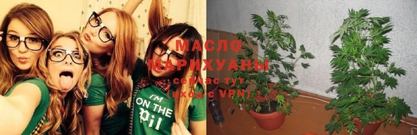 ГАЛЛЮЦИНОГЕННЫЕ ГРИБЫ Ладушкин