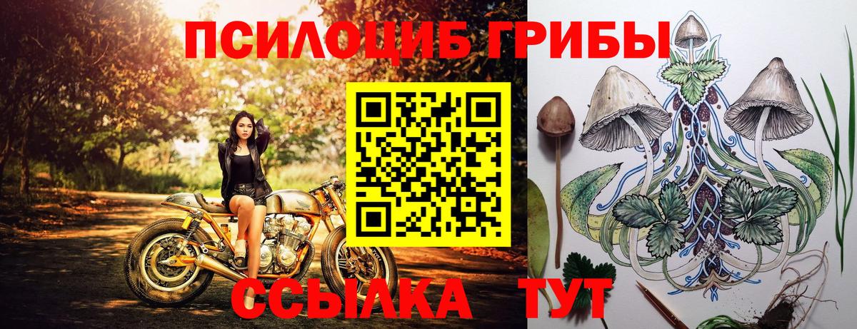 купить закладку  Галлюциногенные грибы GOLDEN TEACHER  Вход с VPN  Новошахтинск 