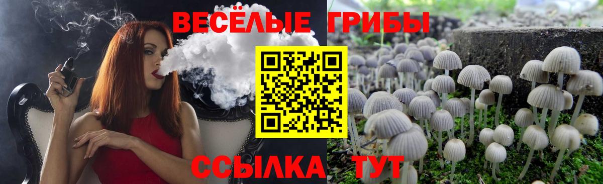 Псилоцибиновые грибы Cubensis Новошахтинск